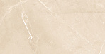 Elegant Armani Crema Керамогранит 60х60 Полированный_12