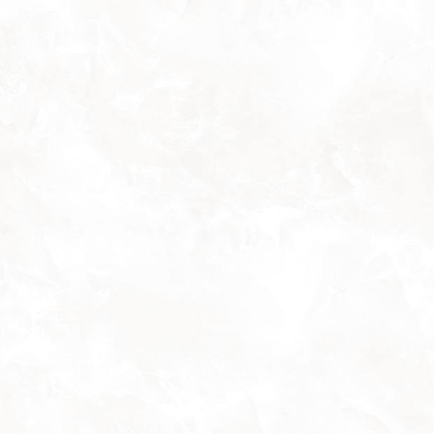 Royal Swiss White Керамогранит белый 60х60 матовый