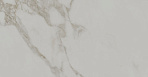 Монте Тиберио Керамогранит серый светлый матовый обрезной SG540720R 60x119,5_5