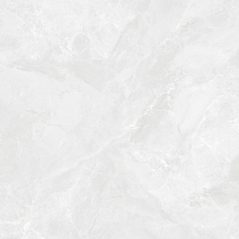 Regnum Bianco Керамогранит светло-серый CR6060G0391R 59,5х59,5 матовый